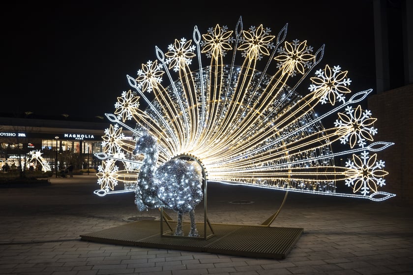 Świąteczne iluminacje we Wrocławiu, okolice CH Magnolia
